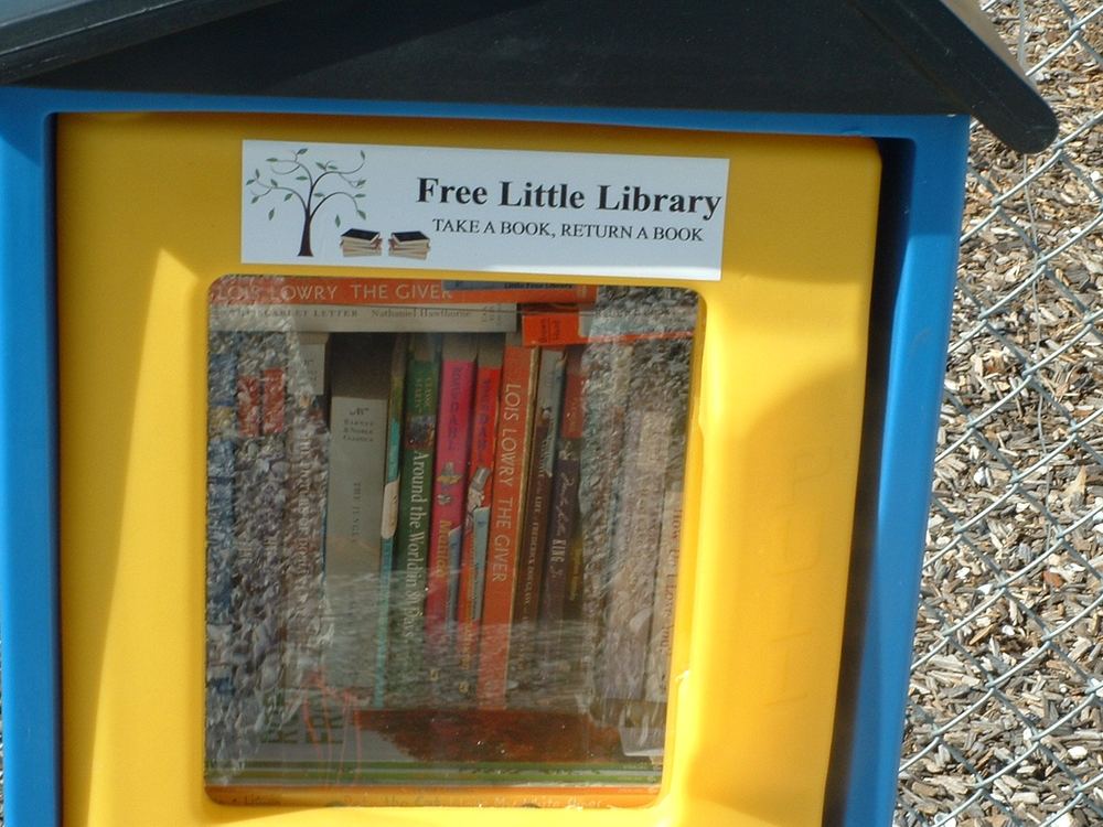 Close-up of the Little Free Library window full of children's and classic books